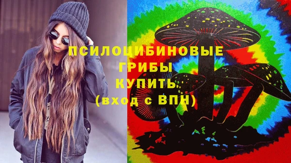 индика Медногорск