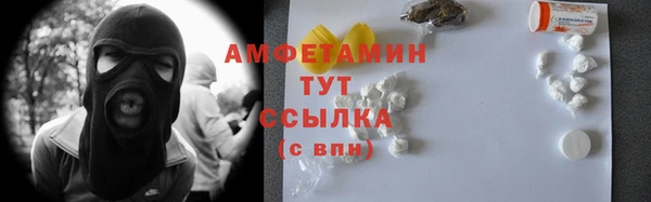индика Медногорск