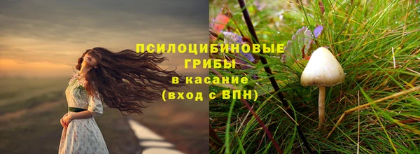 индика Медногорск
