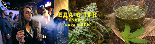 индика Медногорск