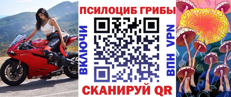 Галлюциногенные грибы мицелий  наркошоп  Гусиноозёрск 